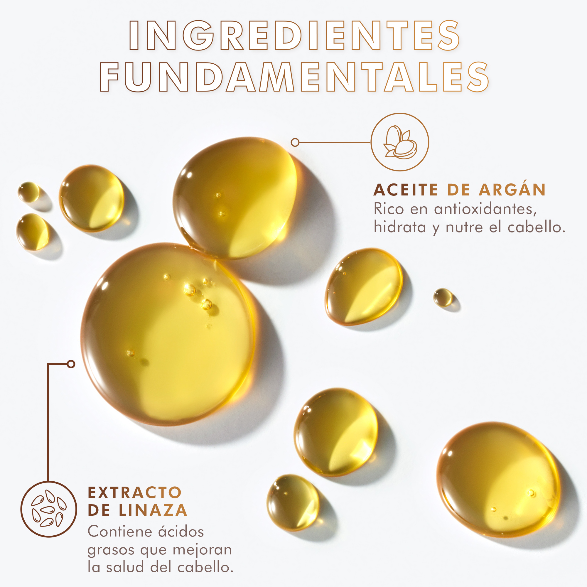 TRATAMIENTO MOROCCANOIL